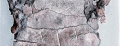 Thumbnail for version as of 10:09, November 4, 2011