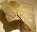 Thumbnail for version as of 16:18, November 1, 2011