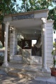 Sycomore-of-Zacheus-Jericho.jpg